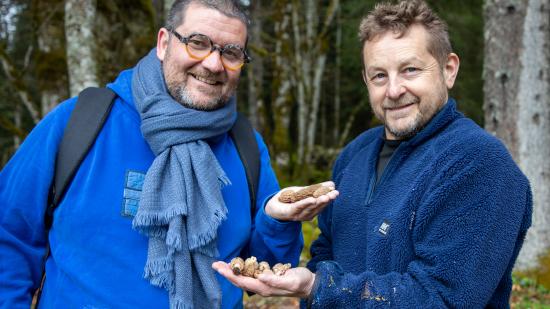 Cueillette des morilles dans le Haut-Doubs – Photo Emma Miskizak