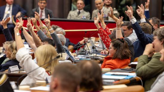 Assemblée plénière du Conseil régional de Bourgogne-Franche-Comté - Photo Xavier DUCORDEAUX