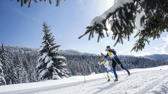 Transjurassienne - DR