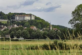 Patrimoine - Château de Ray-sur-Saône 