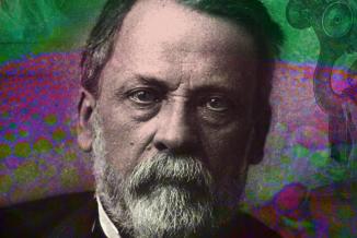 Louis Pasteur, 1822-1895 - DR
