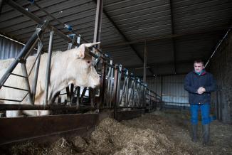 Eric Lacombre possède 120 hectares de prés et 80 bêtes, à Ternant - Photos Emmanuelle Baills