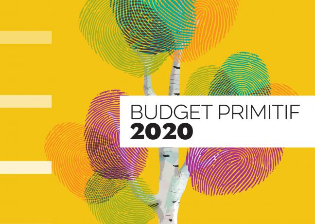 Budget primitif 2020