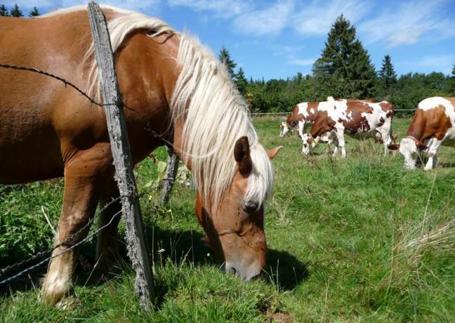 Crédit © Maud Humbert / Bourgogne-Franche-Comté Tourisme 