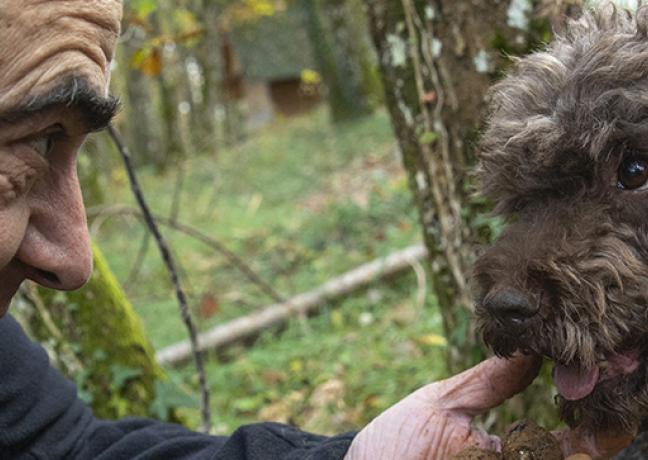 La Maison aux mille truffes à Marey-lès-Fussey (21)  - Crédit photo Région Bourgogne-Franche-Comté / David Cesbron