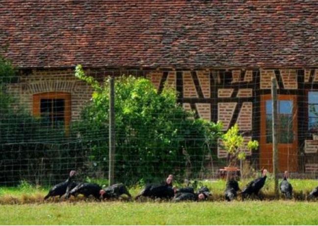 Ferme de la Bonardière, à Bouhans (71) - DR