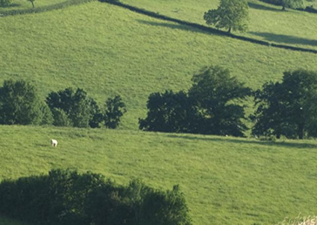 Paysage du Brionnais © Vincent Arbelet