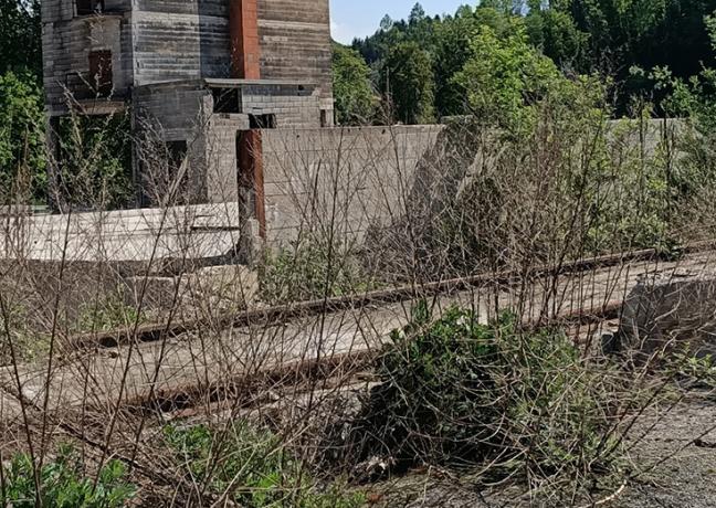 Friche de 2 hectares laissée par l’incendie d’une scierie en 2015 à Châtel-de-Joux (Jura) - Photo DR