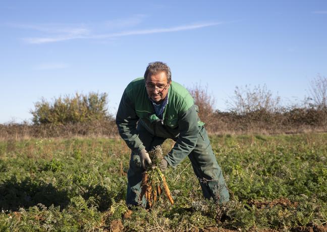 Etienne Prévot, éleveur de bovins et cultivateur de légumes biologiques à Sainte-Magnance (89) - Photo Région Bourgogne-Franche-Comté David Cesbron Etienne Prévot, éleveur de bovins et cultivateur de légumes biologiques à Sainte-Magnance (89) - Photo Région Bourgogne-Franche-Comté David Cesbron