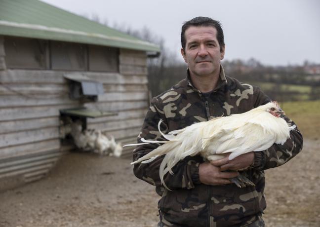 Christophe Perraut, éleveur de volailles, de porcs et de brebis à La Chapelle-Naude (71) - Photo Région Bourgogne-Franche-Comté David Cesbron