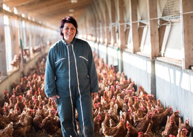 Christelle Koenig, éleveuse de poules pondeuses à Vauthiermont (90) - Photo Ludovic Godard