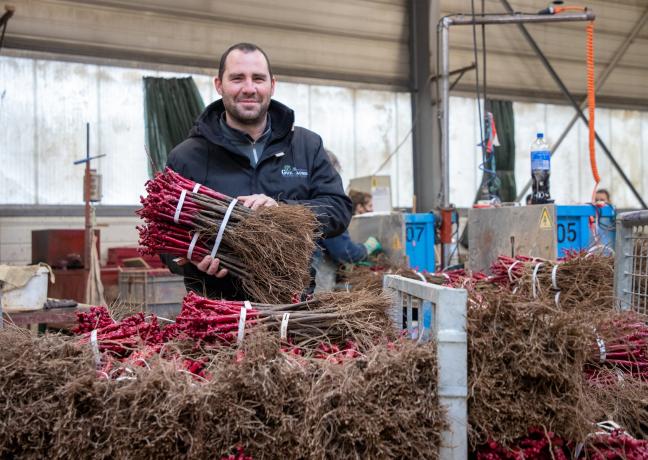 Directeur de la stratégie des pépinières Guillaume (70), François Guillaume travaille sur l’adaptation de la vigne aux changements climatiques - Photo Région Bourgogne-Franche-Comté Xavier Ducordeaux