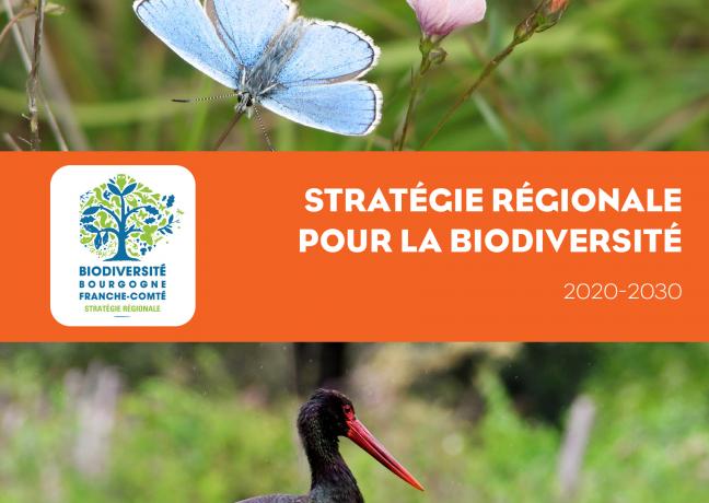 Stratégie régionale pour la biodiversité 2020-2030