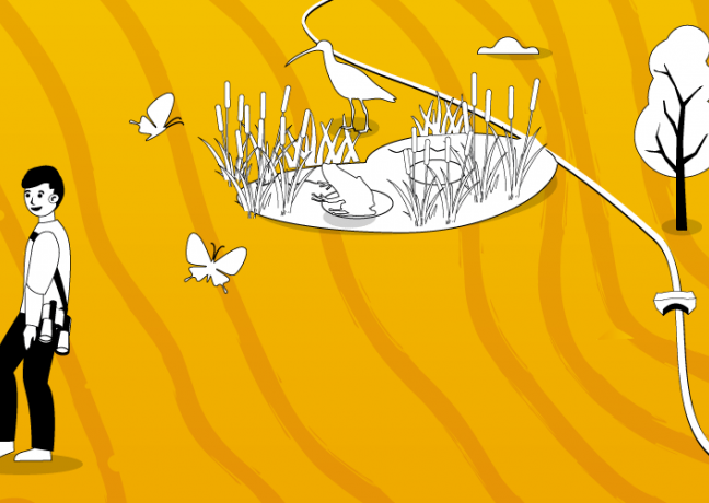 Illustration Natura 2000