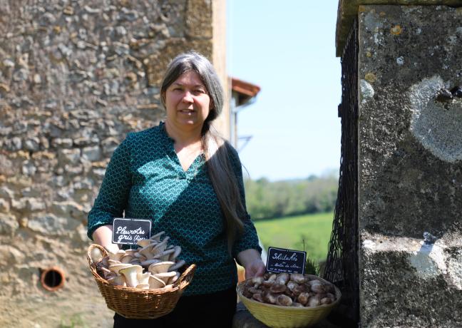 Karine Fage cultive, avec Sébastien Neuzeret, deux variétés de champignons, les pleurotes et les shiitakés, à Briant (71) - Photo Océane Lavoustet