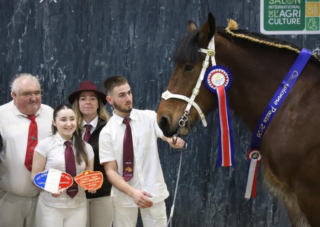 Korida d’Huily, lauréate du Concours général agricole 2026 des chevaux de trait - Photo Océane LAVOUSTET