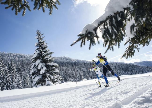 Transjurassienne - DR