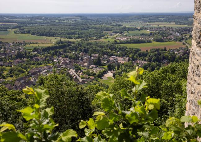 Point de vue du Château de Chalon - Phot David Cesbron