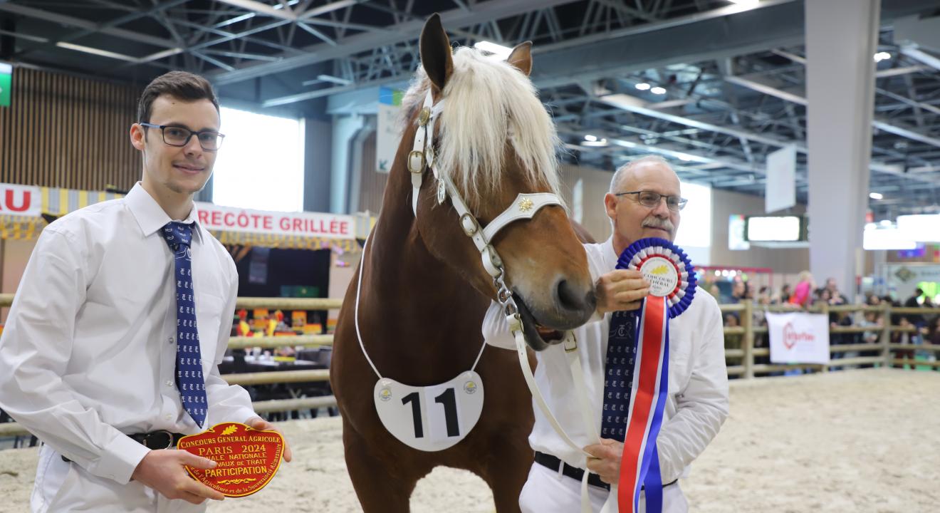 Concours des chevaux Comtois, mercredi 28 février 2024 au salon de l’Agriculture - Photo Océane Lavoustet