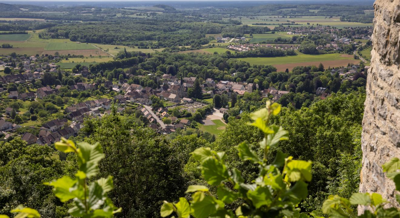 Point de vue du Château de Chalon - Phot David Cesbron