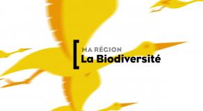 Ma Région, la Biodiversité